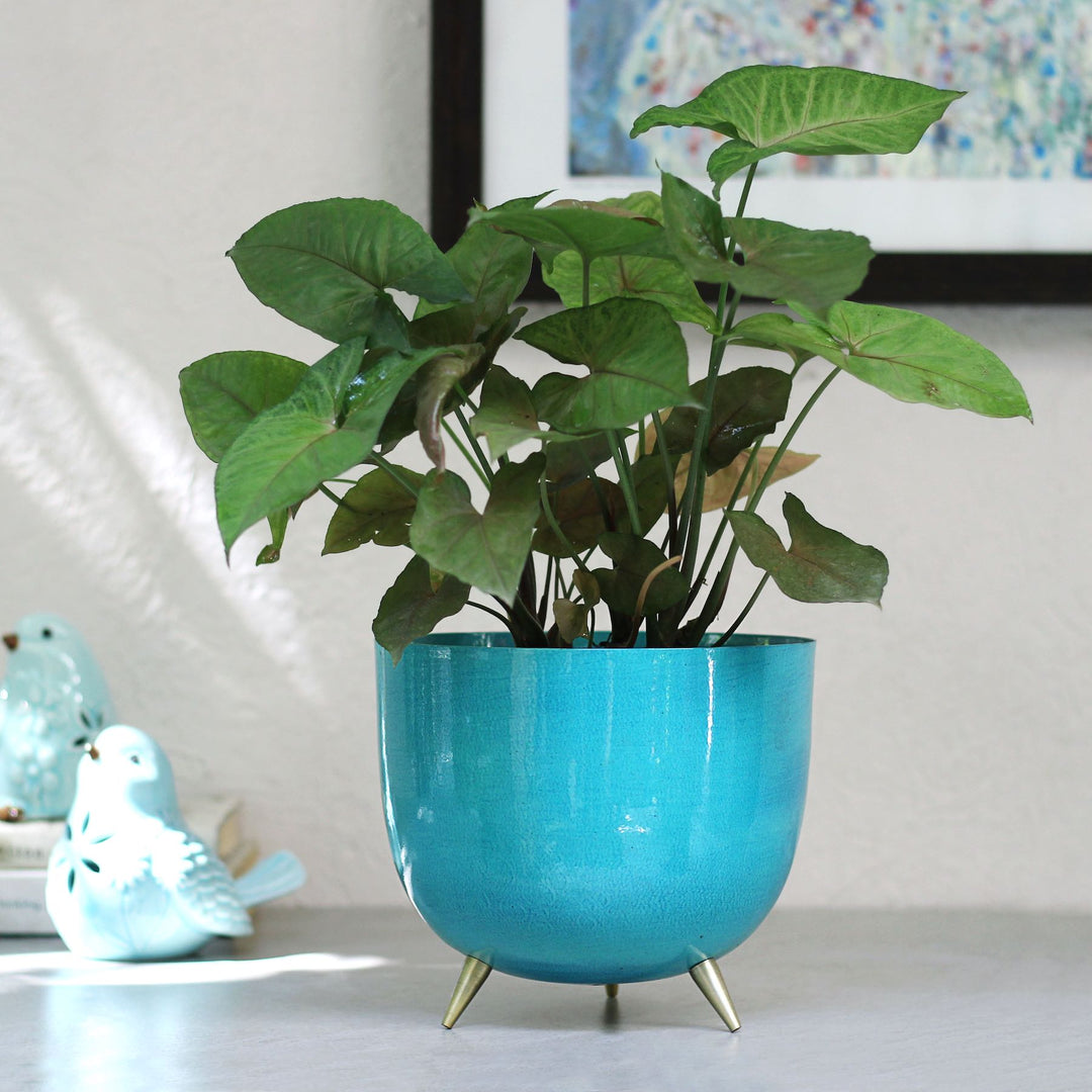 blue metal planter