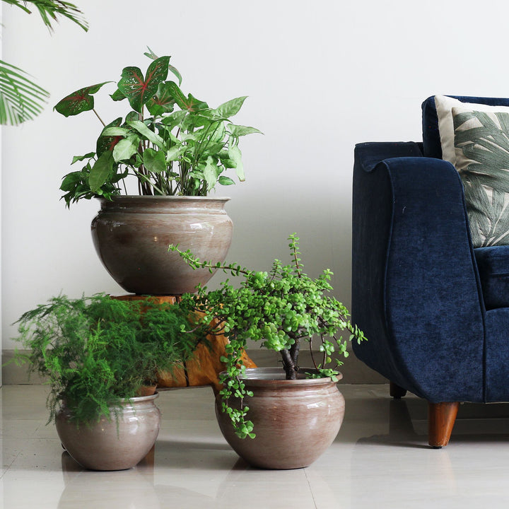 brown metal planters