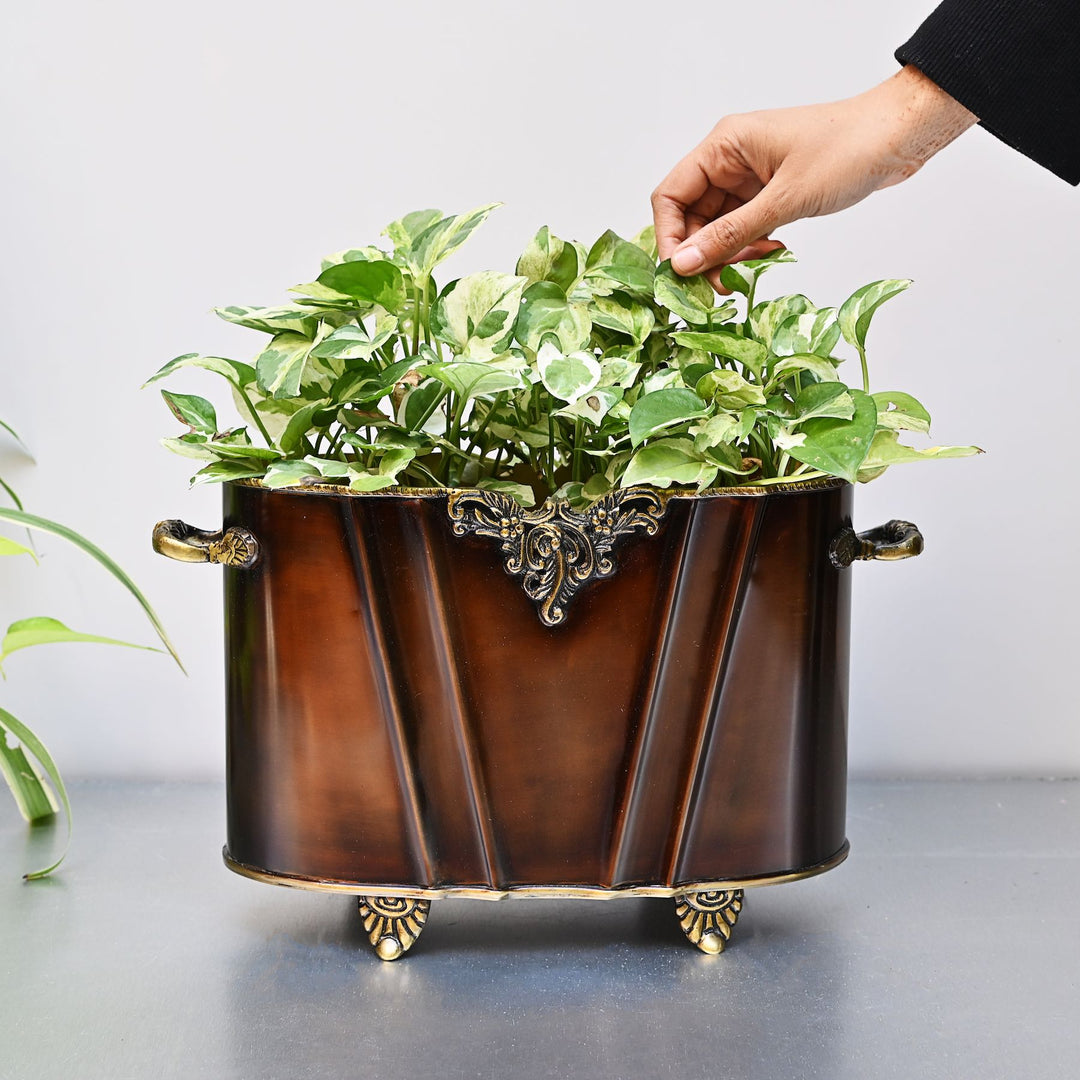 copper brass indoor planters