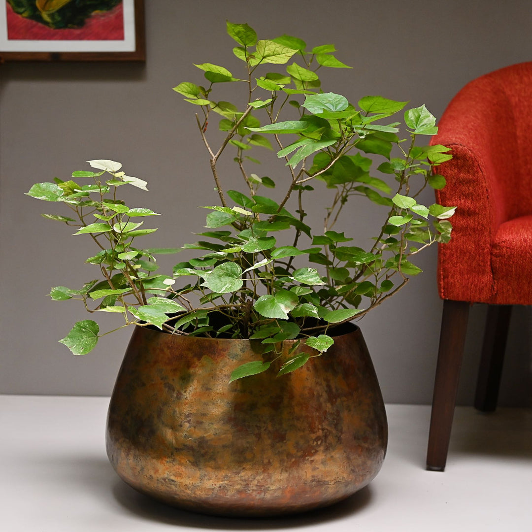 large copper planter