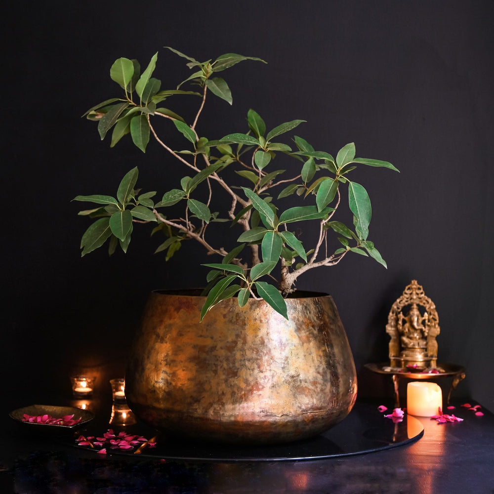 large copper planter