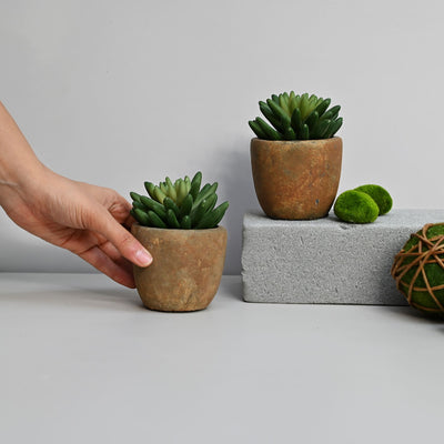 artificial succulent plants