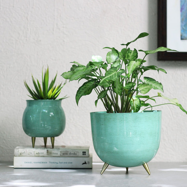 blue meal plant pots