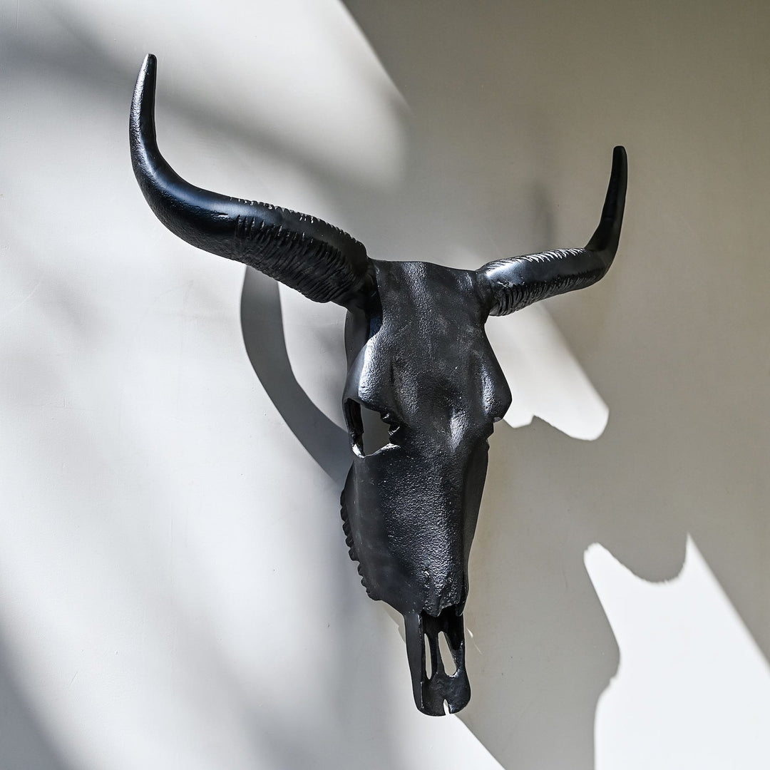 black horned steer wall decor
