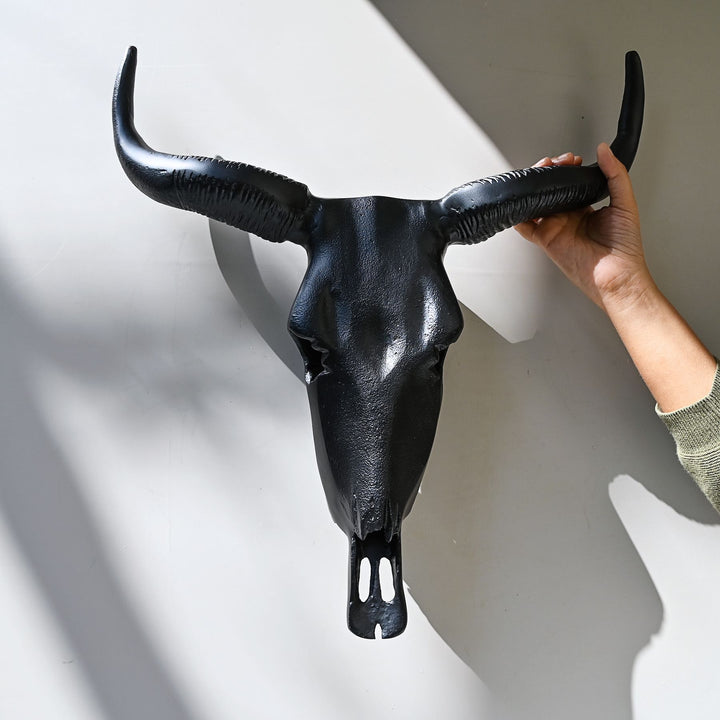 black horned steer wall decor