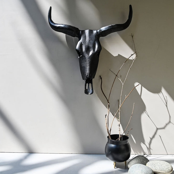 black horned steer wall decor