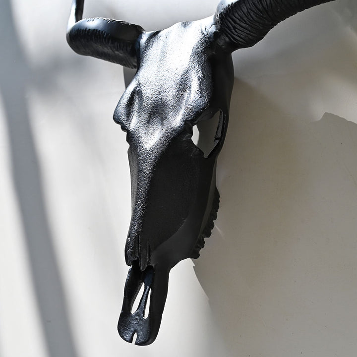 black horned steer wall decor