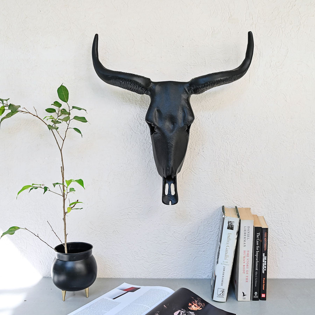 black horned steer wall decor