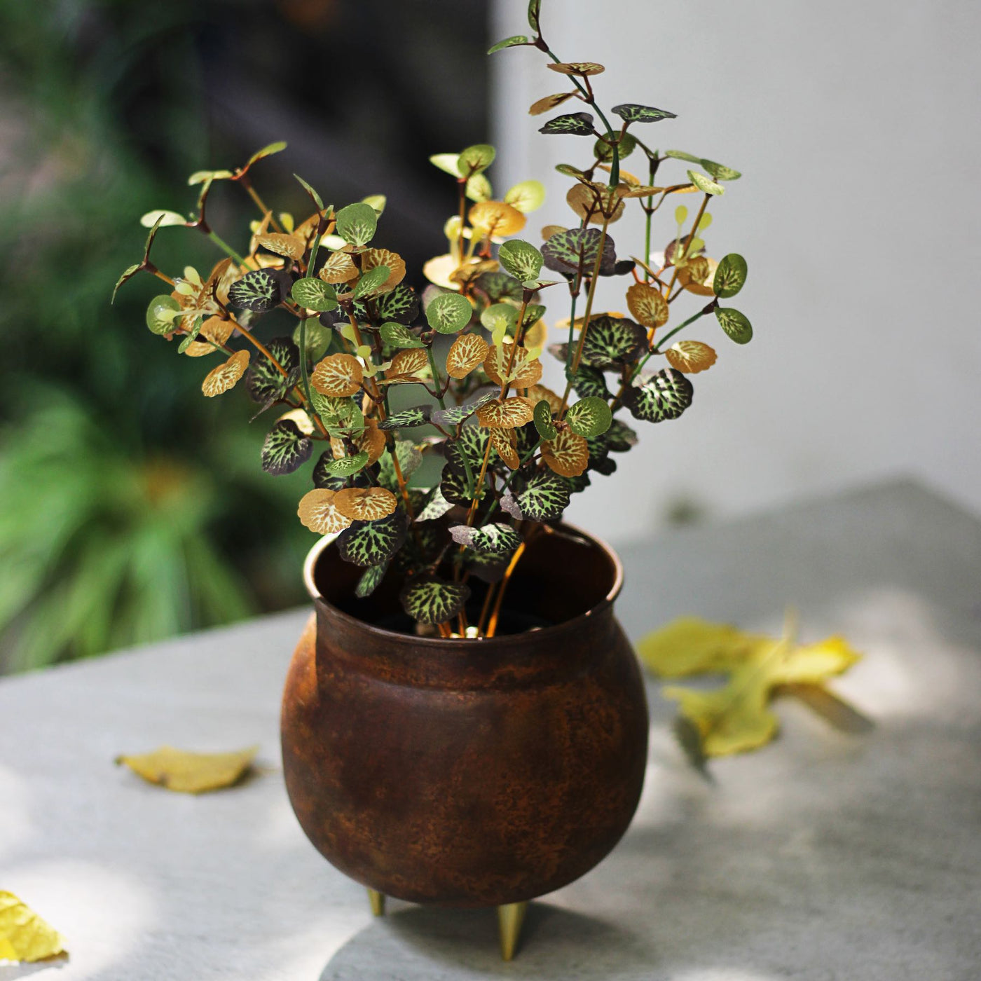 Small Artificial Plant With Yellow & Green Leaves