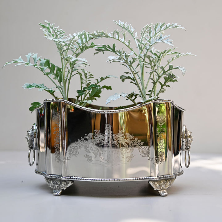 brass and steel indoor planter