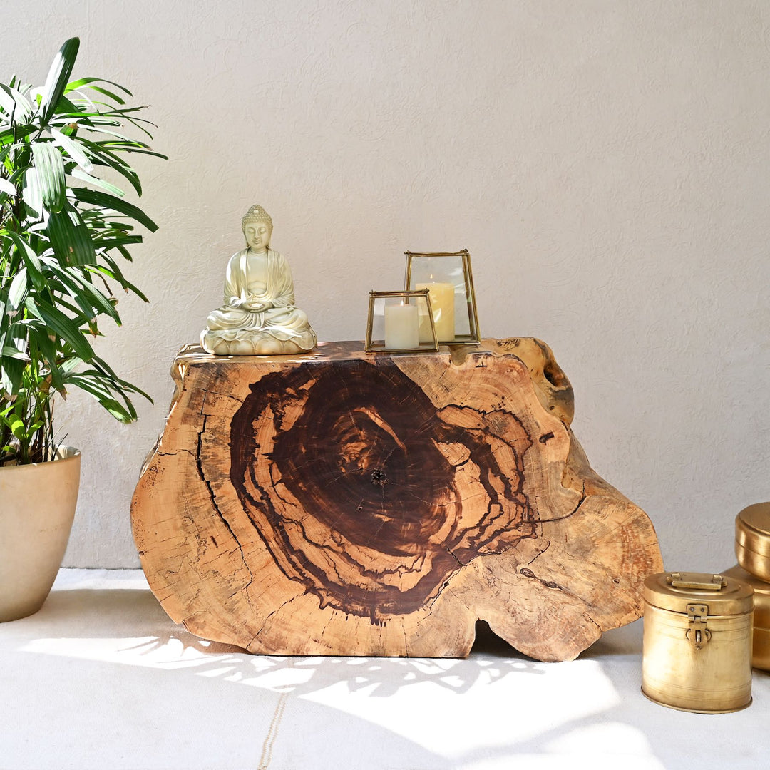 A sliced and carved teak flat console table displayed vertically with decorative items on top, placed against a neutral background with a potted plant to the side.