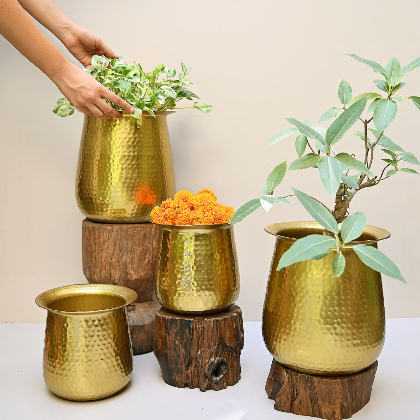 brass tabletop planters