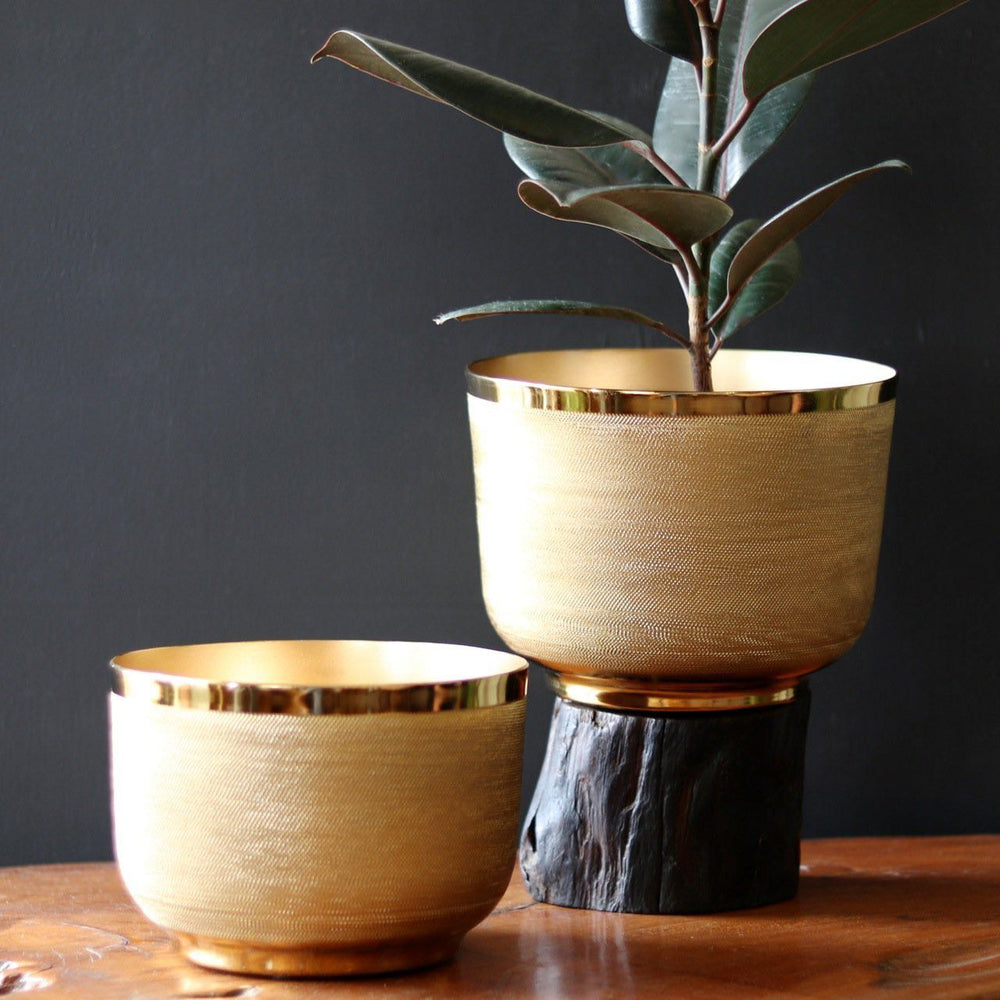 brass planters